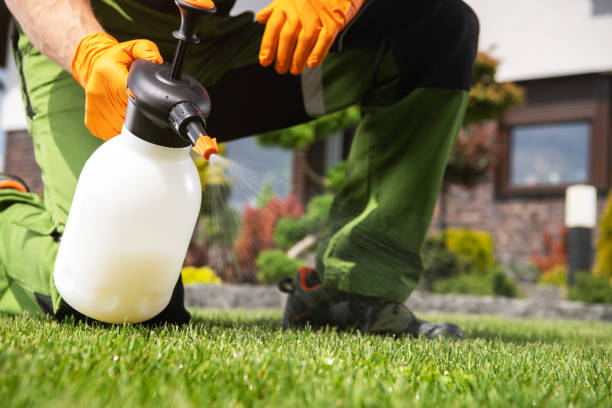 Best Best Pest Control Companies  in Lincoln Village, CA