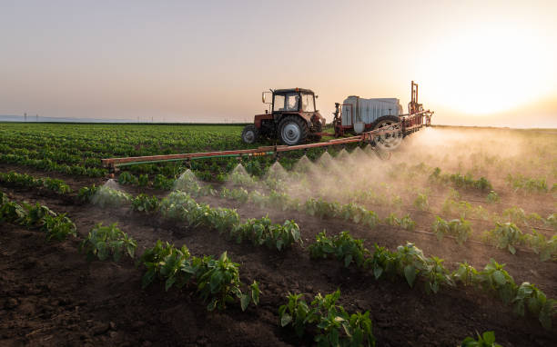 Reliable Lincoln Village, CA Pest Control Solutions
