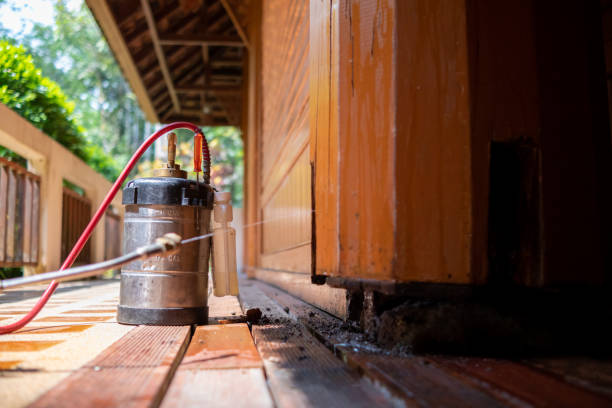 Best Exterminator Services  in Lincoln Village, CA