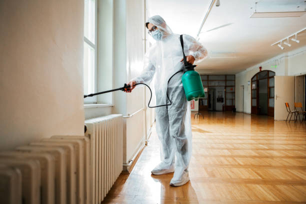 Best Pest Control Treatment  in Lincoln Village, CA